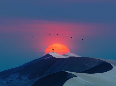 文章功能，隐藏内容